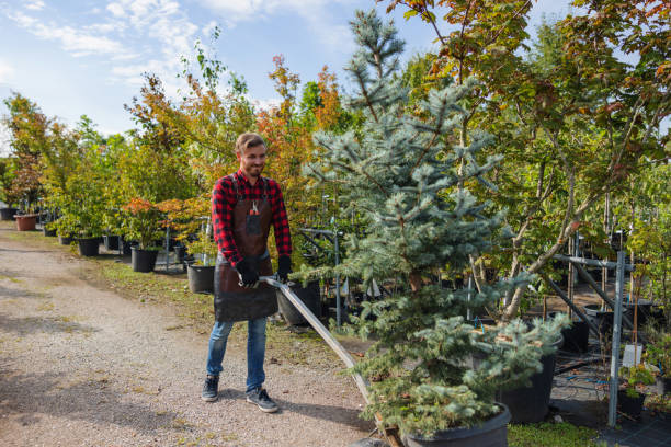 Best Commercial Tree Services  in Woodlake, VA